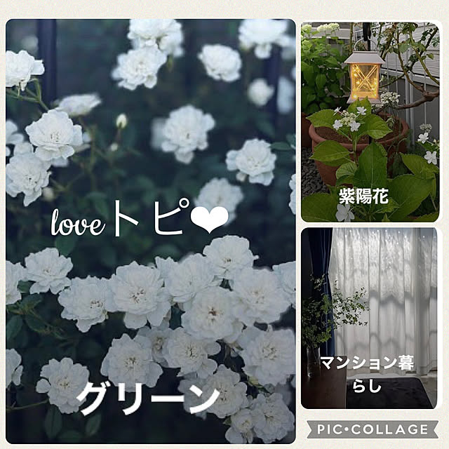 CoCo0617さんの実例写真