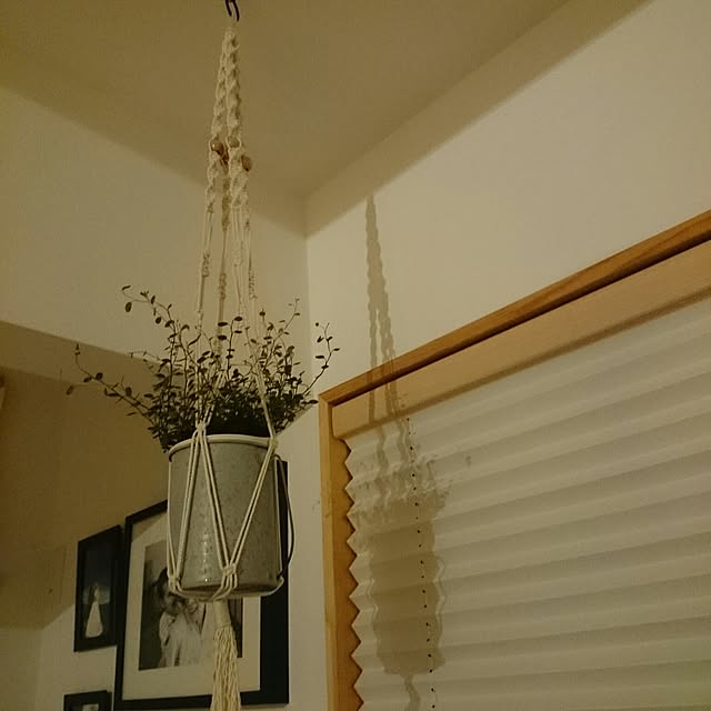 n.mayukosanさんの実例写真
