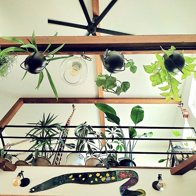 rimoleoさんの実例写真