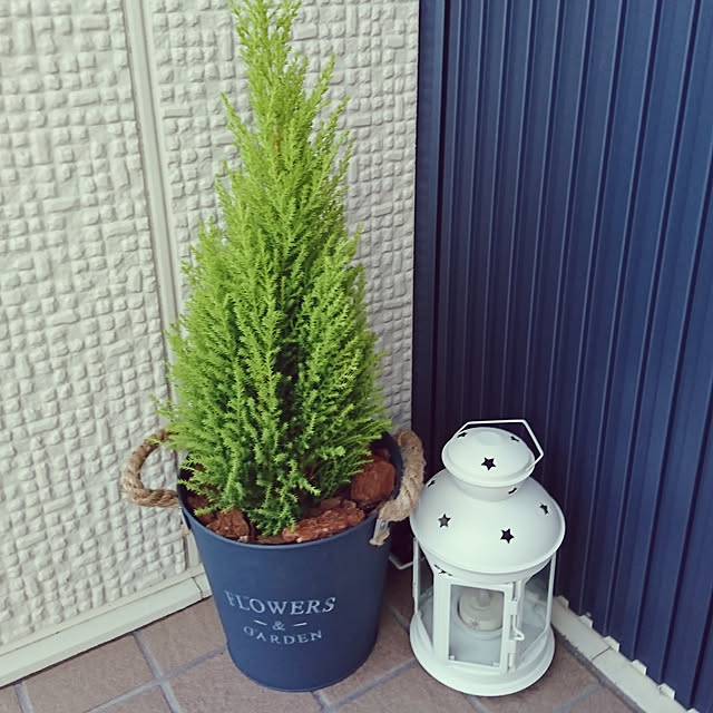 samiii03さんの実例写真