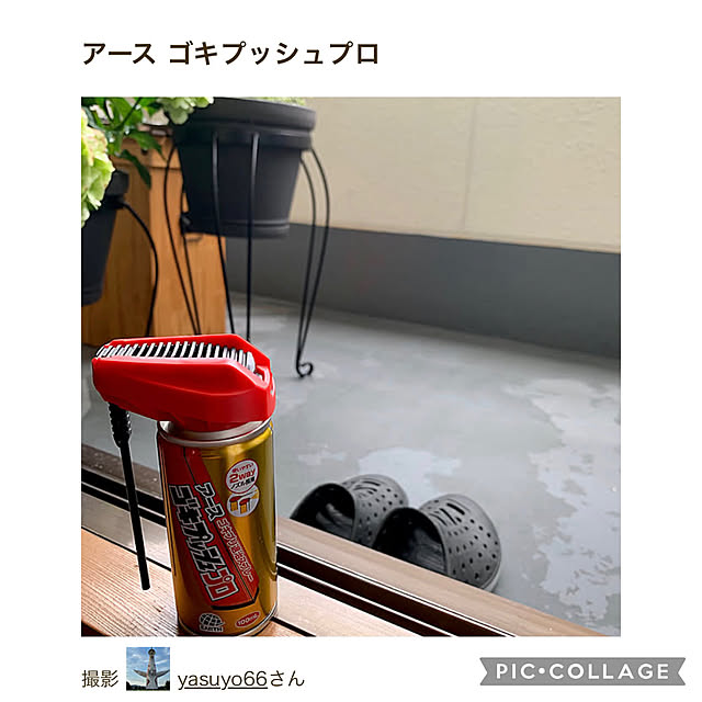 yasuyo66さんの実例写真