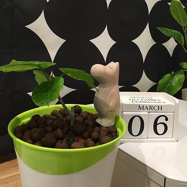 taitaiさんの実例写真