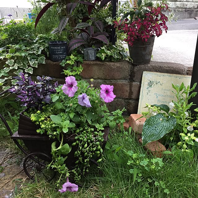 sumirepiano1103さんの実例写真