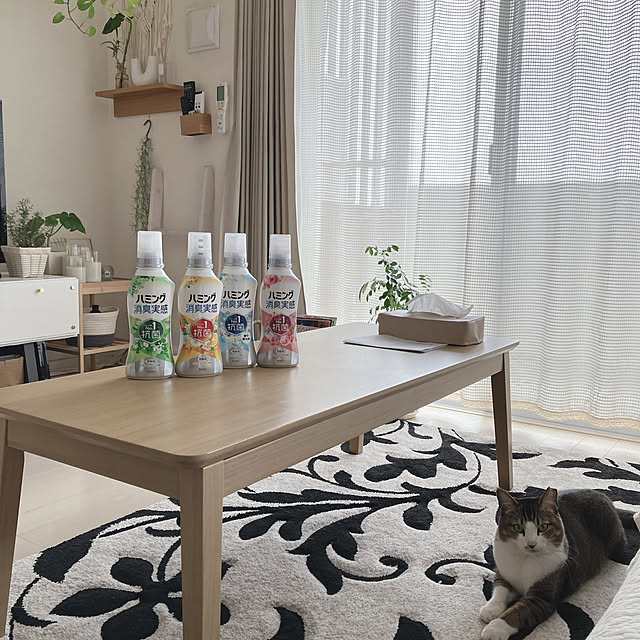 nekomiさんの部屋