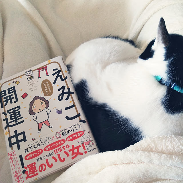 futukoさんの実例写真
