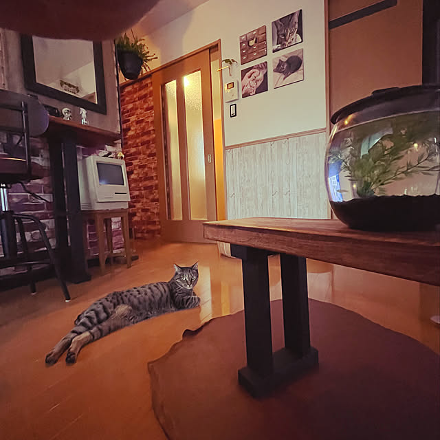 Mさんの実例写真