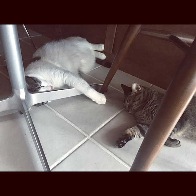 marusanさんの実例写真