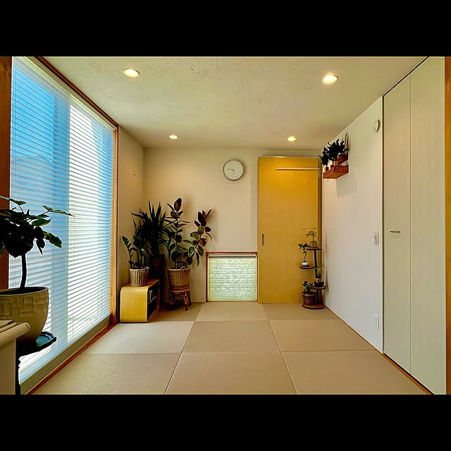 tamabaka1971さんの部屋