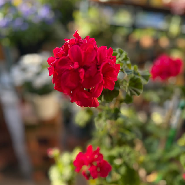 Aqettyさんの部屋