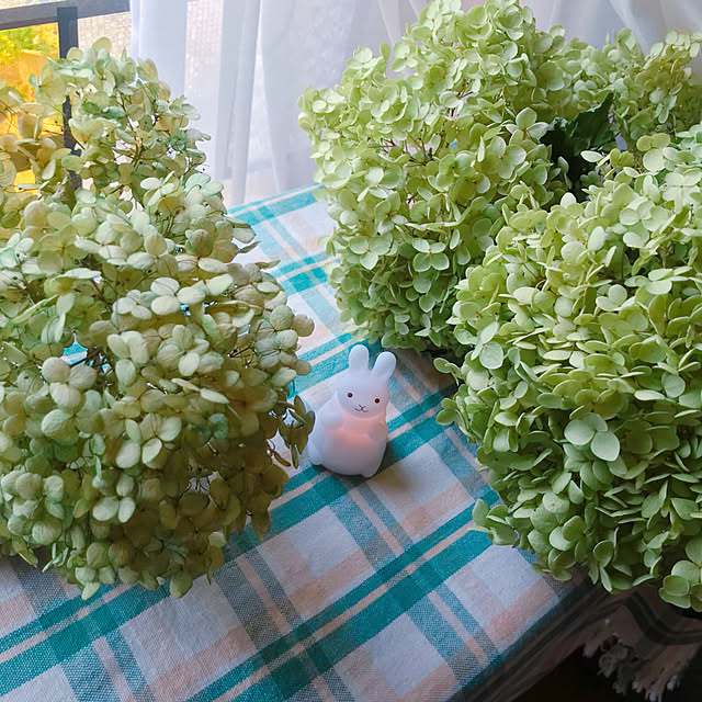 portulacaさんの実例写真