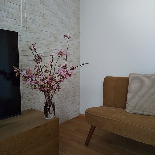 anemone37さんの部屋