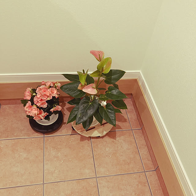 Sweetpeaさんの実例写真