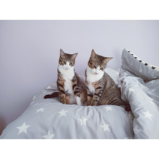 m.aさんの実例写真