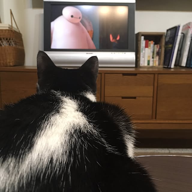 mikomaruさんの実例写真