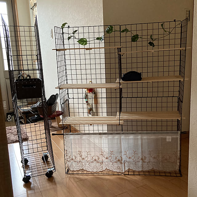 yuzuさんの実例写真