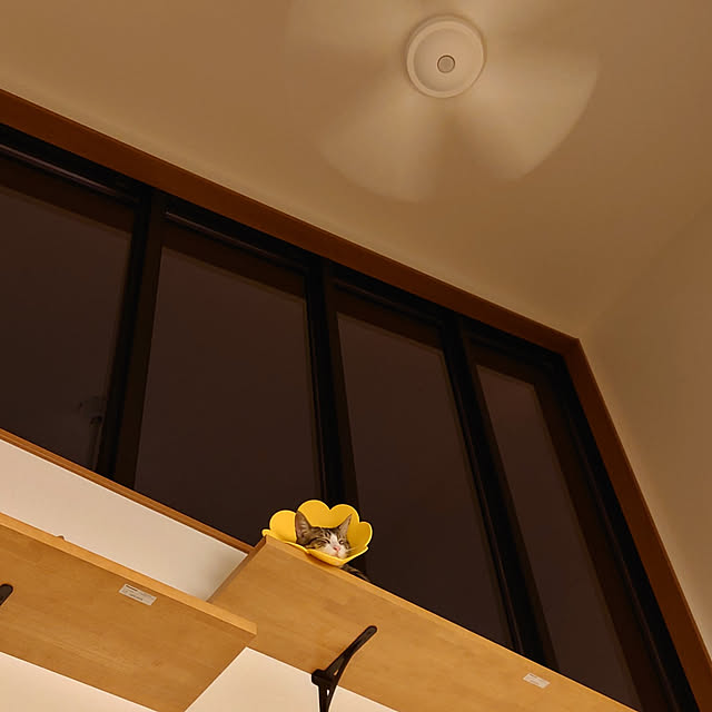 mochicoさんの実例写真