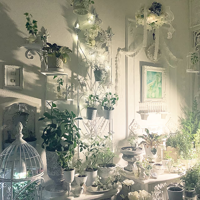 souyaさんの実例写真