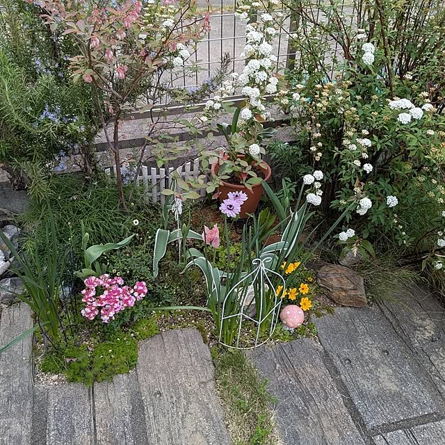 Ruii25さんの実例写真