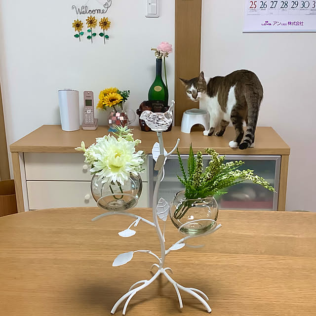 haruminさんの実例写真