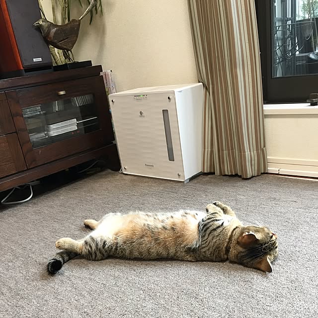 nono87さんの実例写真