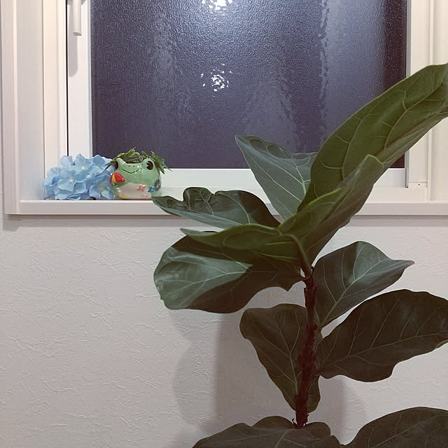 sakitiさんの実例写真