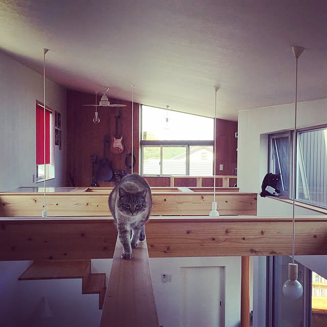 bamboobooCatDogさんの実例写真