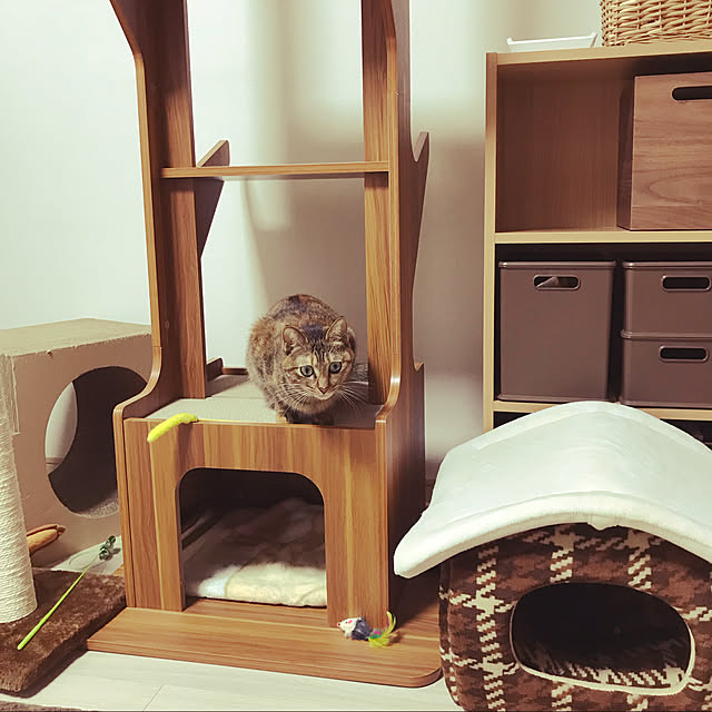 moka06さんの実例写真