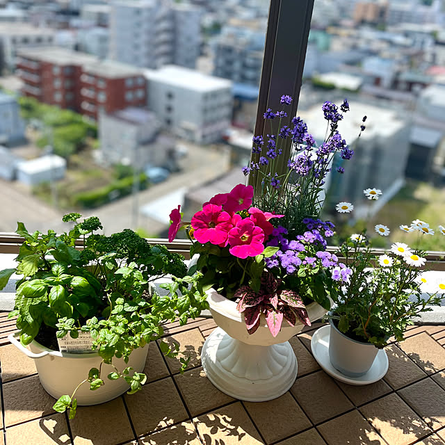 junさんの実例写真