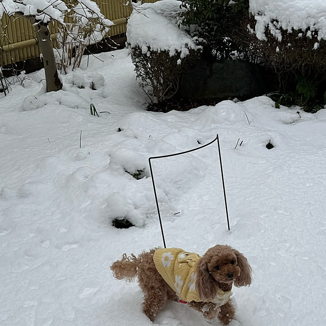 mamizaさんの部屋