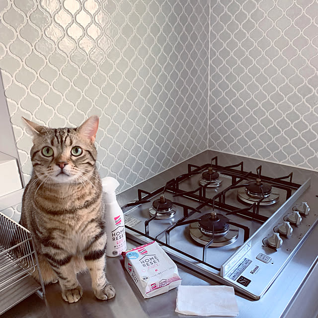 kaedeさんの実例写真