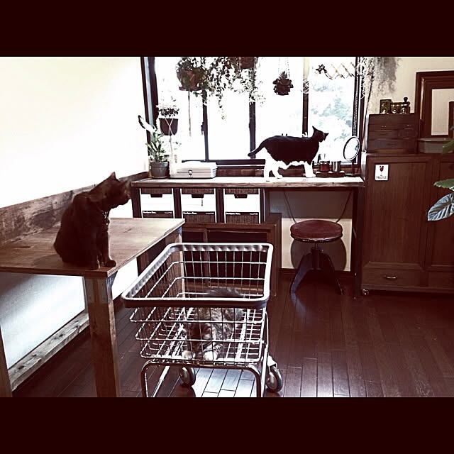 jnkaiさんの実例写真