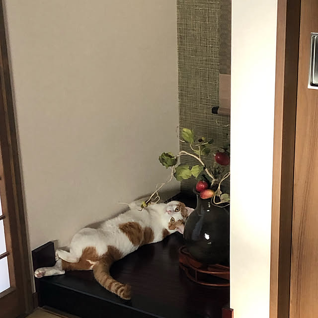 komugiさんの実例写真