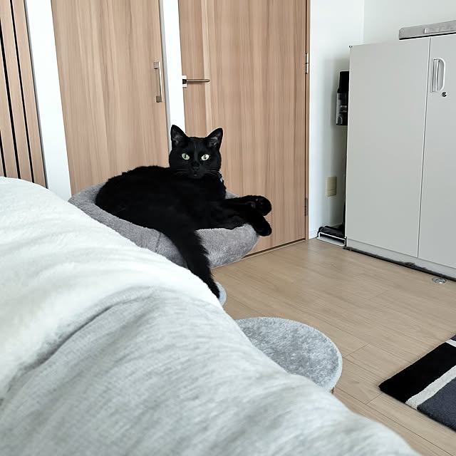 sakuraさんの部屋