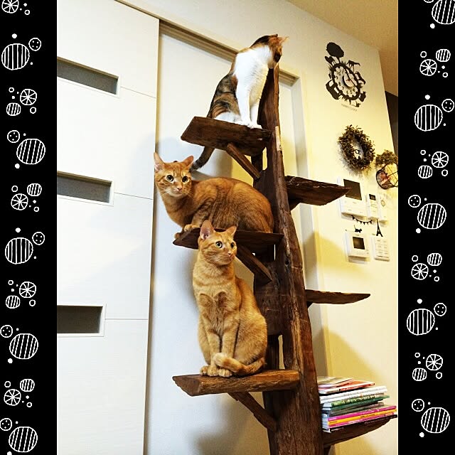 Minamiさんの実例写真