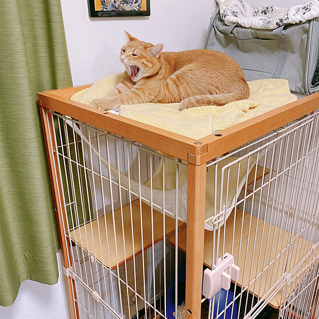 reo..m.aさんの実例写真
