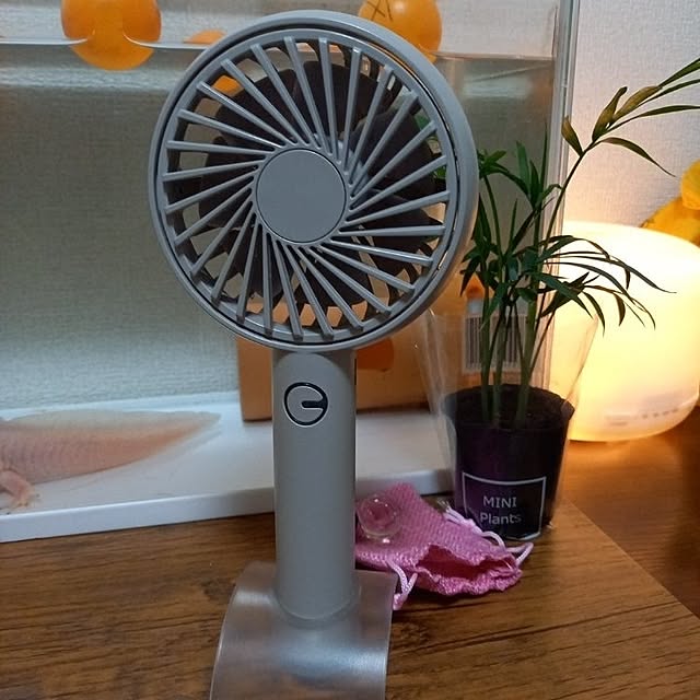 rokomokoさんの実例写真