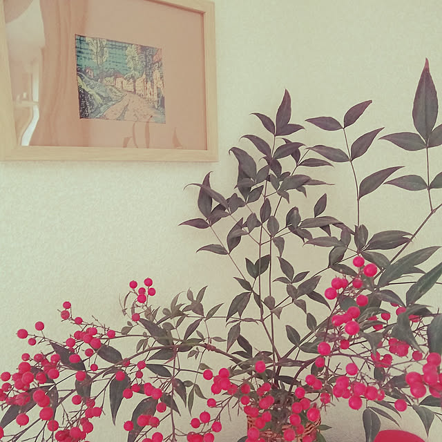 onigiriさんの実例写真