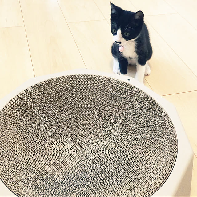 hijikiさんの実例写真