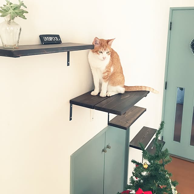 youkoさんの実例写真