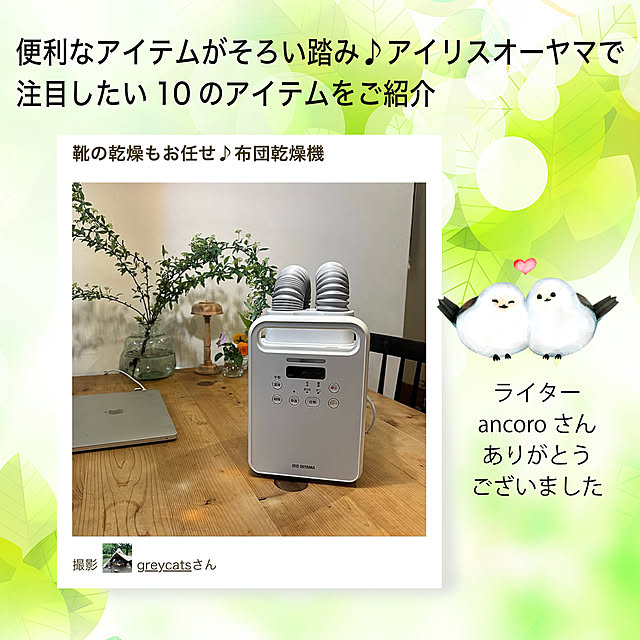 greycatsさんの実例写真