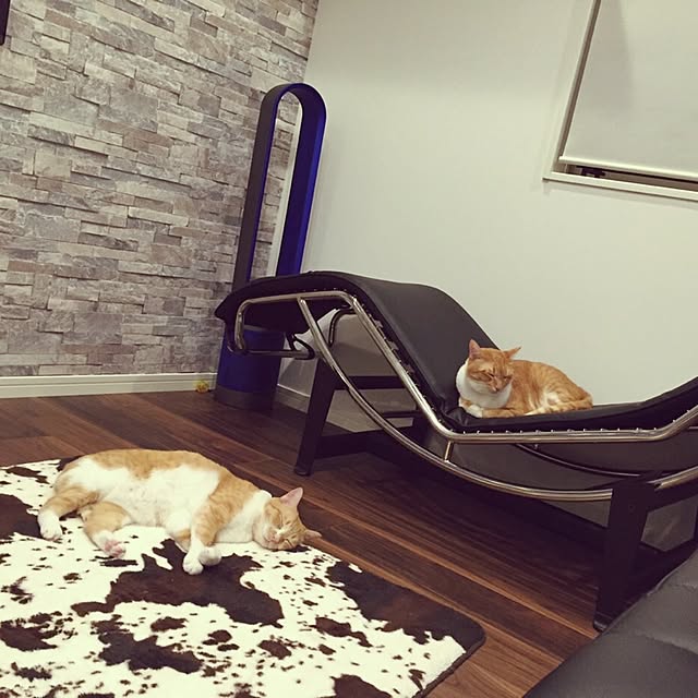 Shuichiさんの実例写真