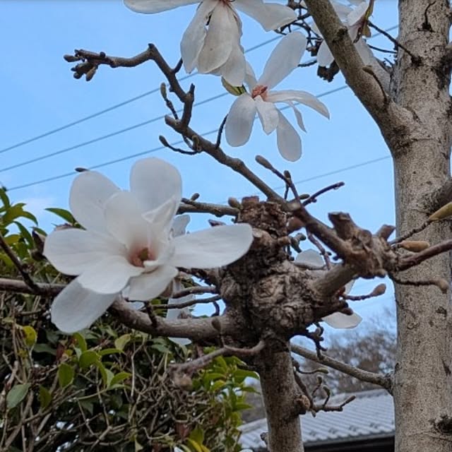 ku-garnet18さんの部屋