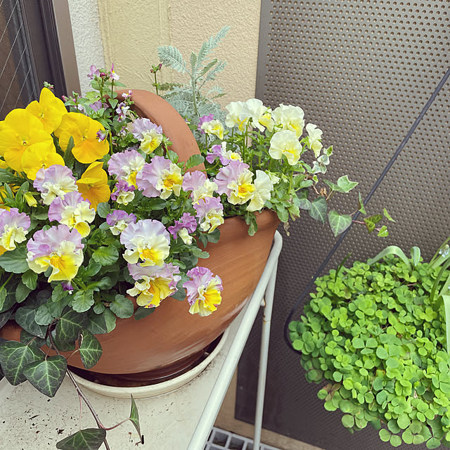 nahonさんの実例写真