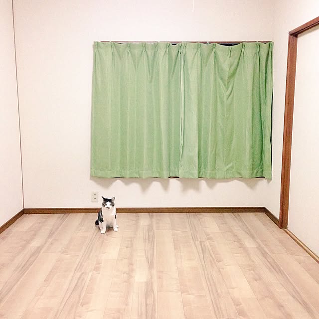 nillchibaさんの実例写真