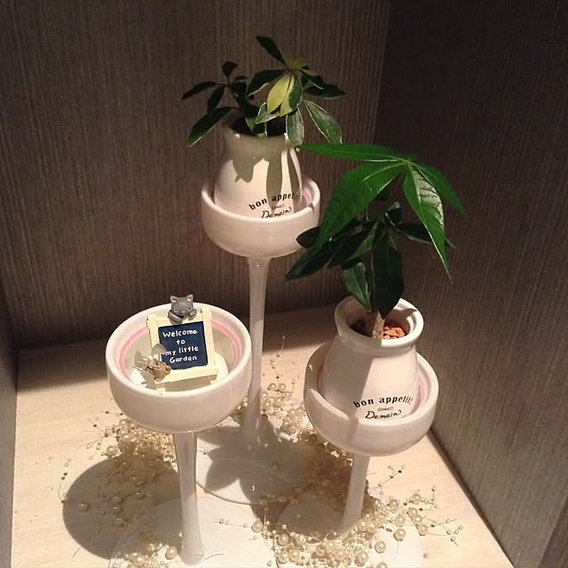 ACCOさんの実例写真