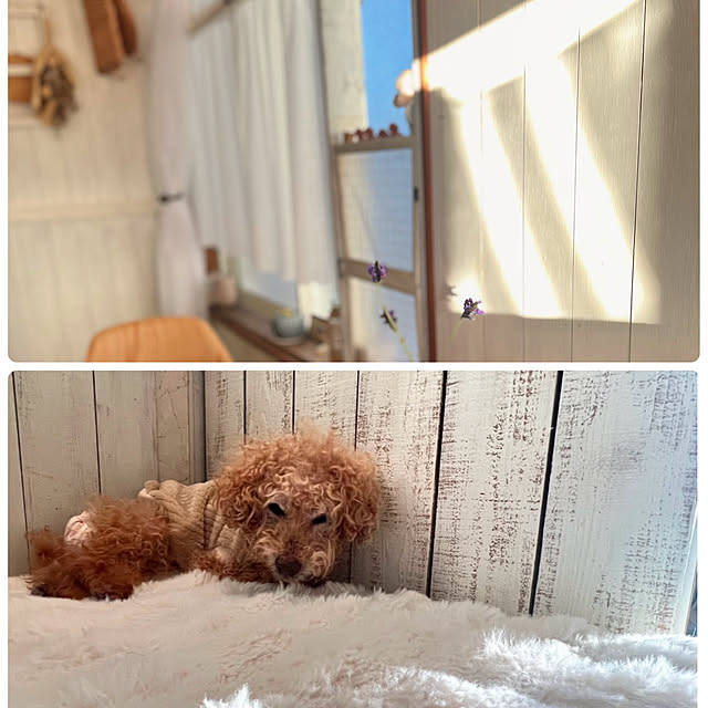 rookuさんの部屋