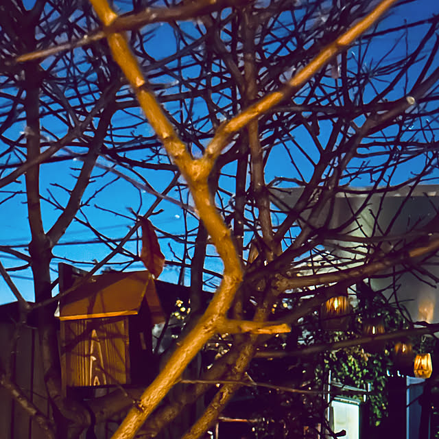 chacoさんの部屋