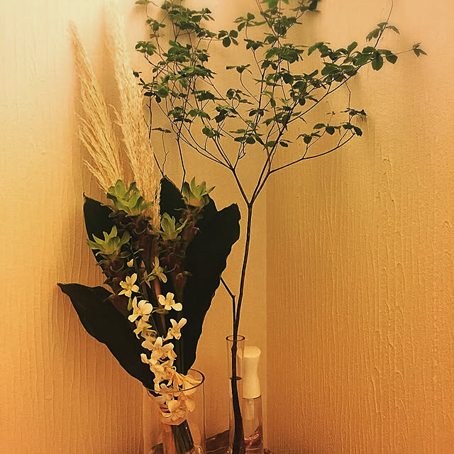 dijieさんの実例写真