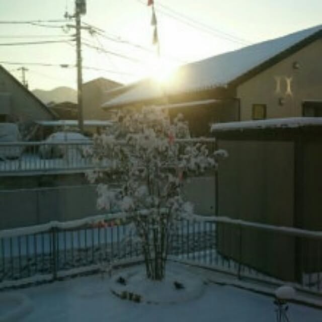 ayaxtutiさんの実例写真