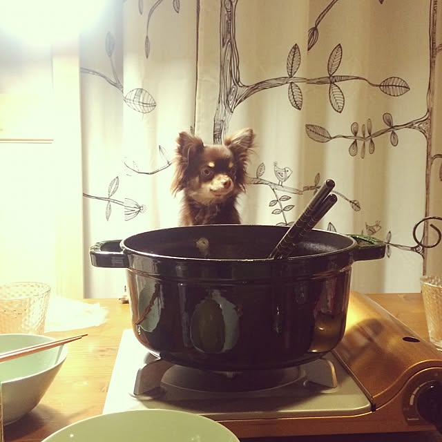takaさんの実例写真